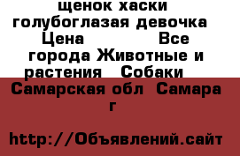 щенок хаски  голубоглазая девочка › Цена ­ 12 000 - Все города Животные и растения » Собаки   . Самарская обл.,Самара г.